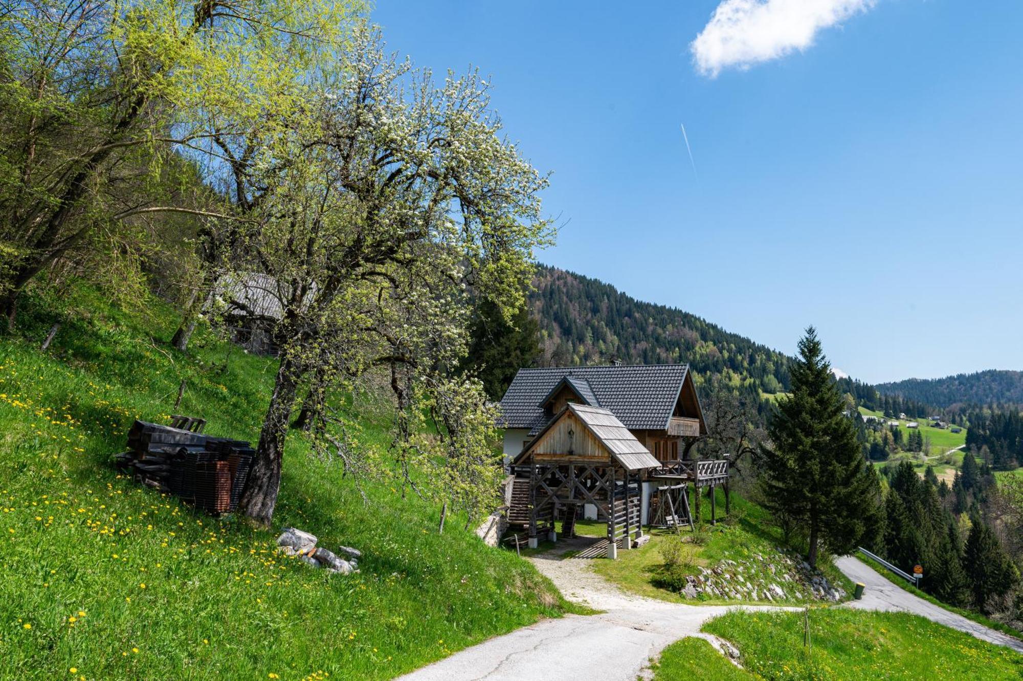 Vila Podjelje Exteriér fotografie